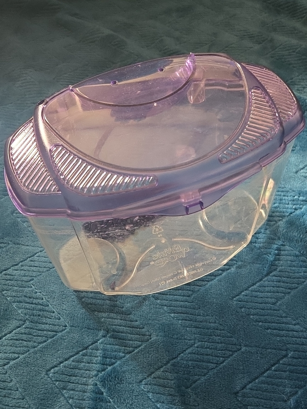 3/$20 Small Fish Aquarium